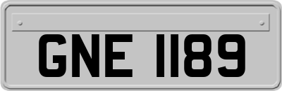 GNE1189