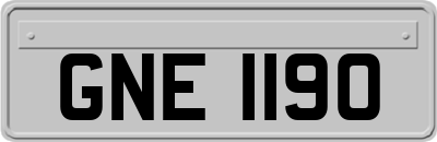 GNE1190