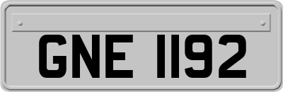 GNE1192