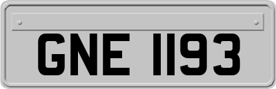 GNE1193