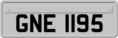 GNE1195