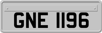 GNE1196