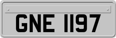 GNE1197