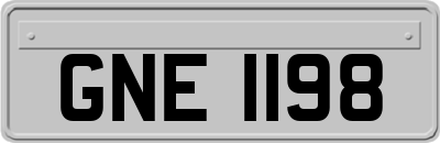 GNE1198
