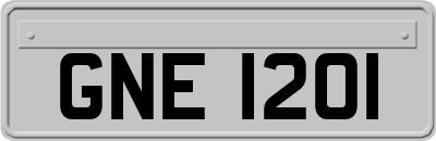 GNE1201