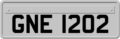 GNE1202