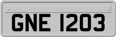 GNE1203