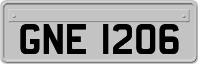 GNE1206