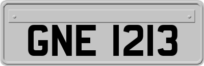 GNE1213