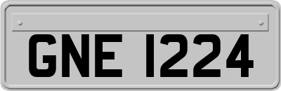 GNE1224