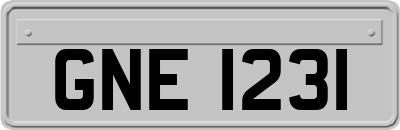 GNE1231