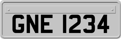 GNE1234