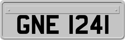 GNE1241