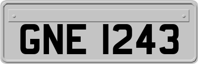 GNE1243