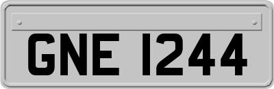 GNE1244