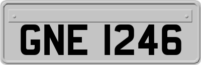 GNE1246