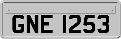 GNE1253