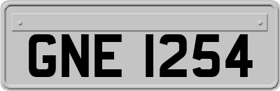 GNE1254