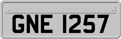 GNE1257