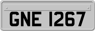 GNE1267