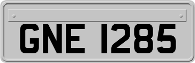 GNE1285