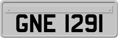 GNE1291