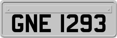 GNE1293