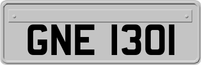 GNE1301