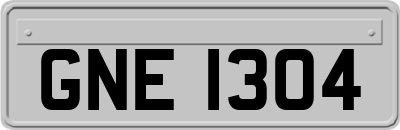 GNE1304