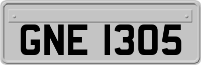 GNE1305