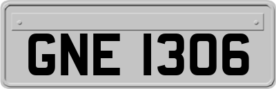 GNE1306