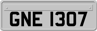 GNE1307