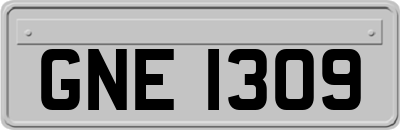 GNE1309