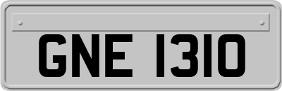 GNE1310