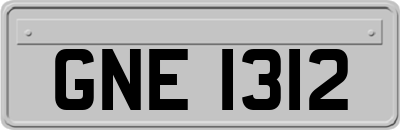 GNE1312