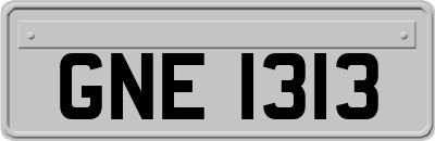 GNE1313