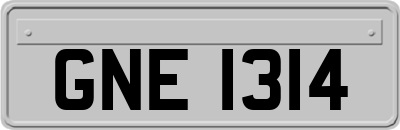 GNE1314