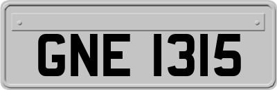 GNE1315