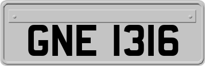 GNE1316