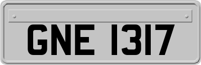 GNE1317