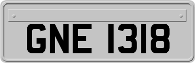GNE1318