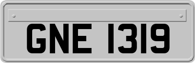 GNE1319