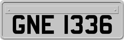 GNE1336