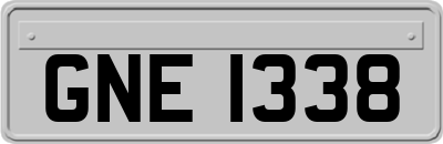 GNE1338