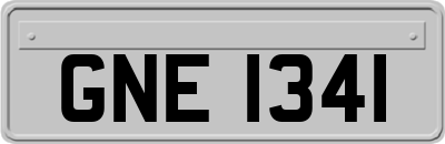 GNE1341
