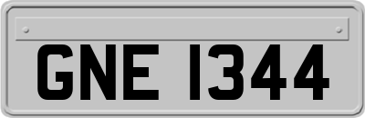 GNE1344