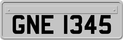 GNE1345