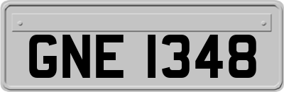 GNE1348
