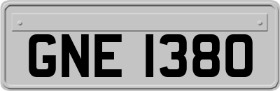 GNE1380