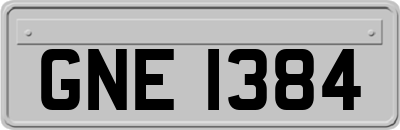 GNE1384
